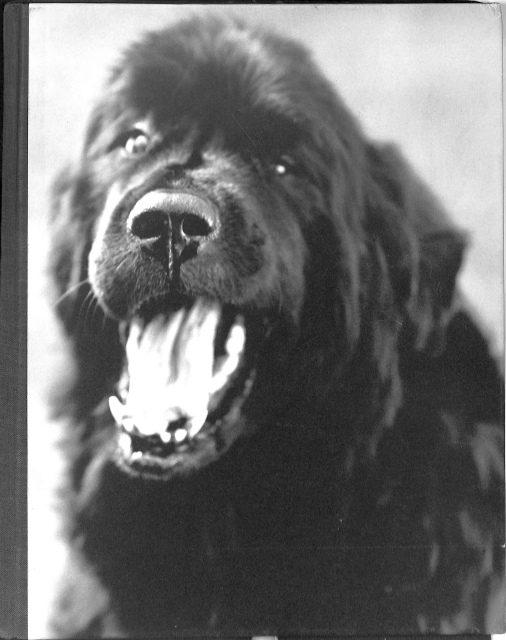 少女古写真館 ちくま学芸文庫 飯沢耕太郎 | 古本よみた屋 おじいさんの