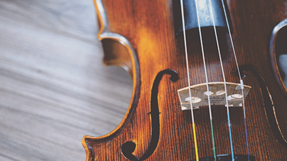 金丸 葉子 ヴィオラ奏者 Yoko Kanamaru Viola