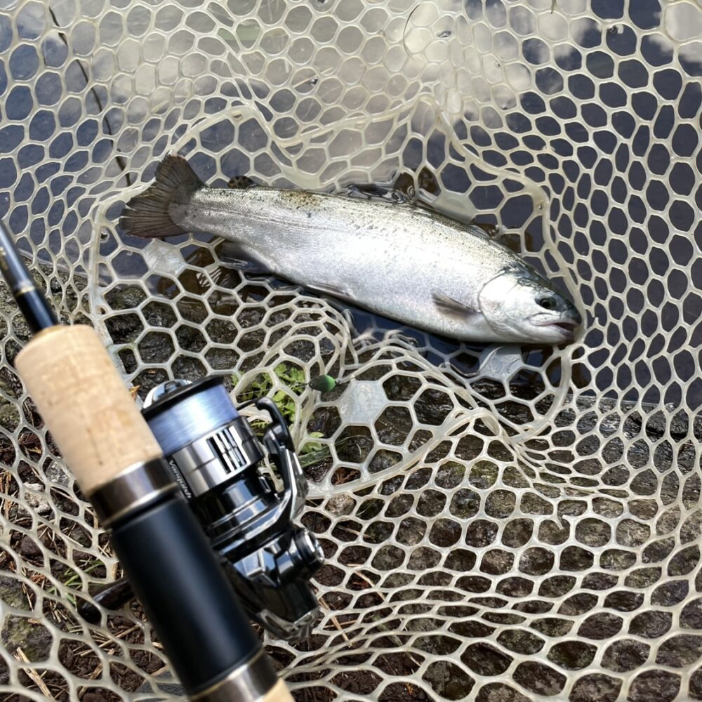 23ヴァンキッシュC2000SHGでエリアトラウト！インフィニティループは