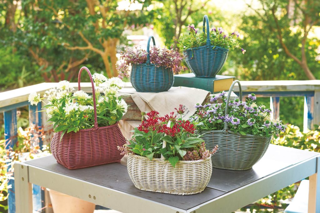 植木鉢・ガーデニングアイテム | 株式会社 友膳