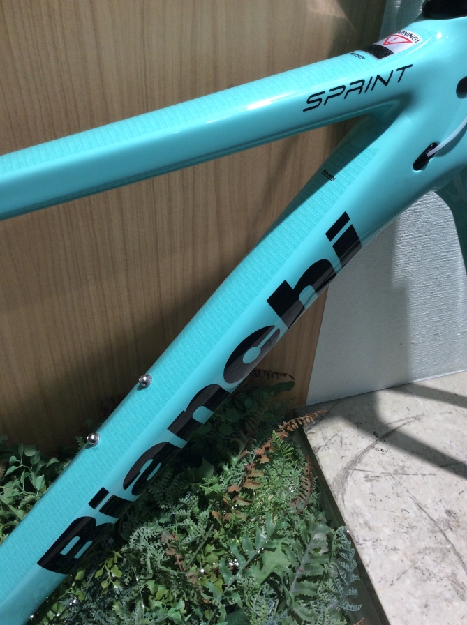 BIANCHI】世界で一台だけのmyオリジナルロードバイクが作れるフレーム