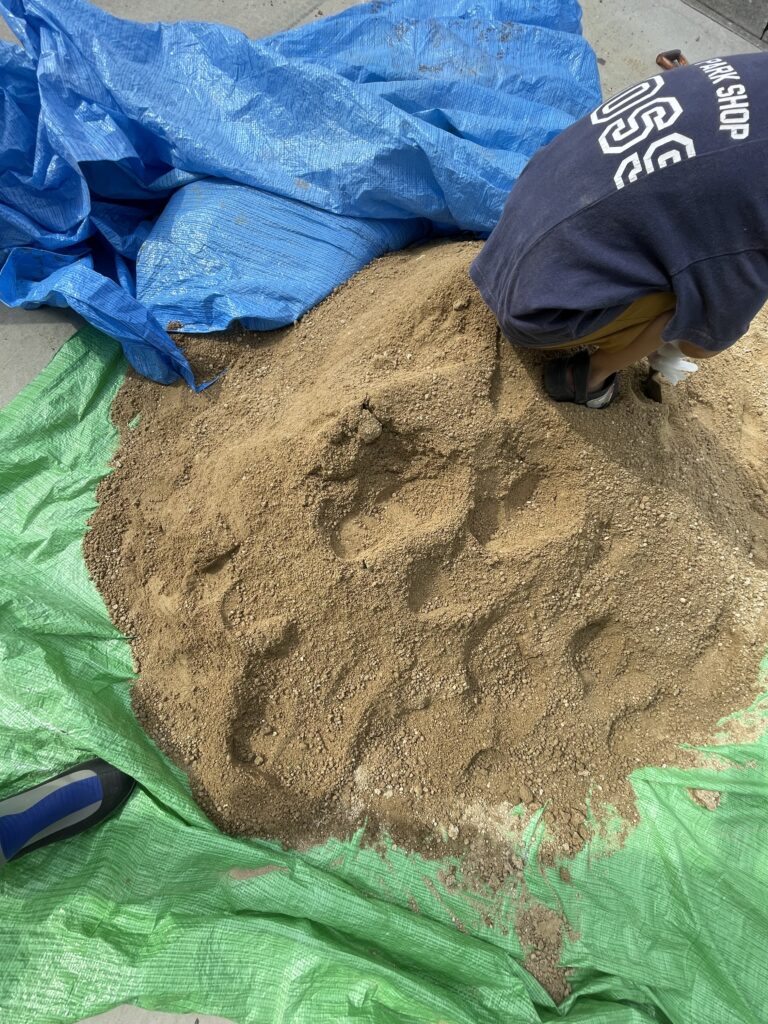 失敗談】素人がドライガーデンを三毳石（ミカモ石）と山砂でリガーデン