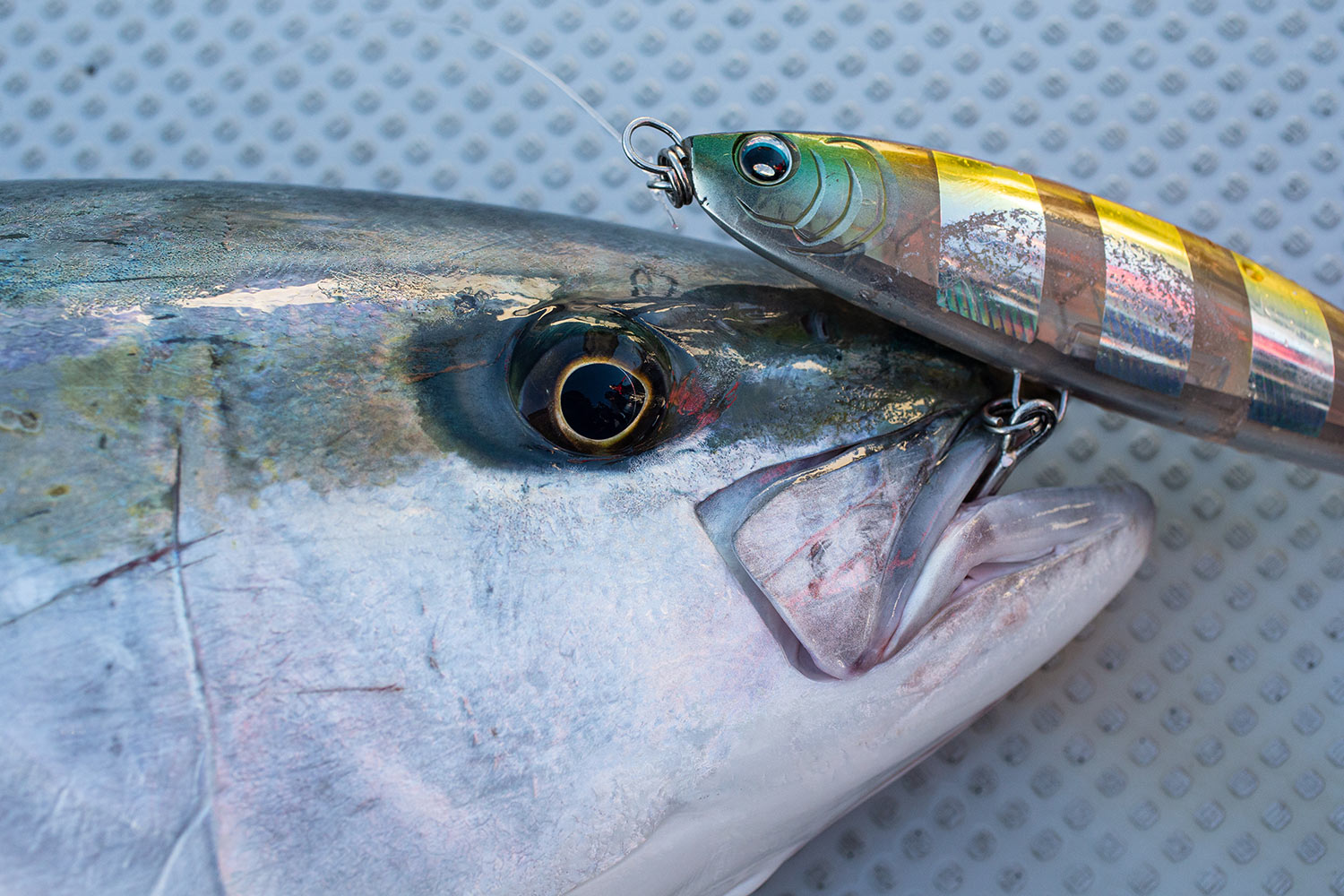 玄界灘ヒラマサキャスティング用ルアーおすすめ12本！ - ヤップ！【Yup