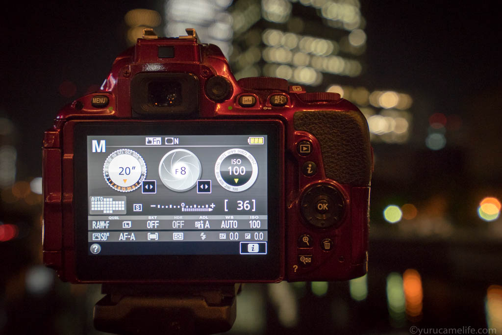 D5500を手にして1年が経ったので、その魅力を思う存分語り尽くしてみる