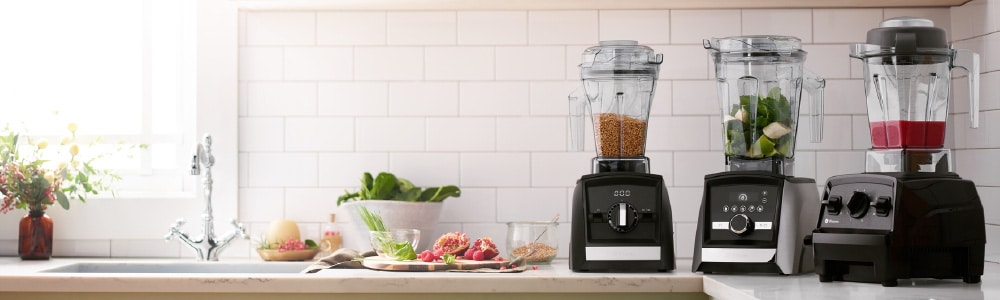バイタミックス・vitamix Vitamix/バイタミックス Explorain E310
