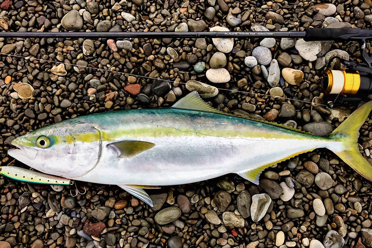 PLAISIR ANSWER - ZENAQ | Official-Web