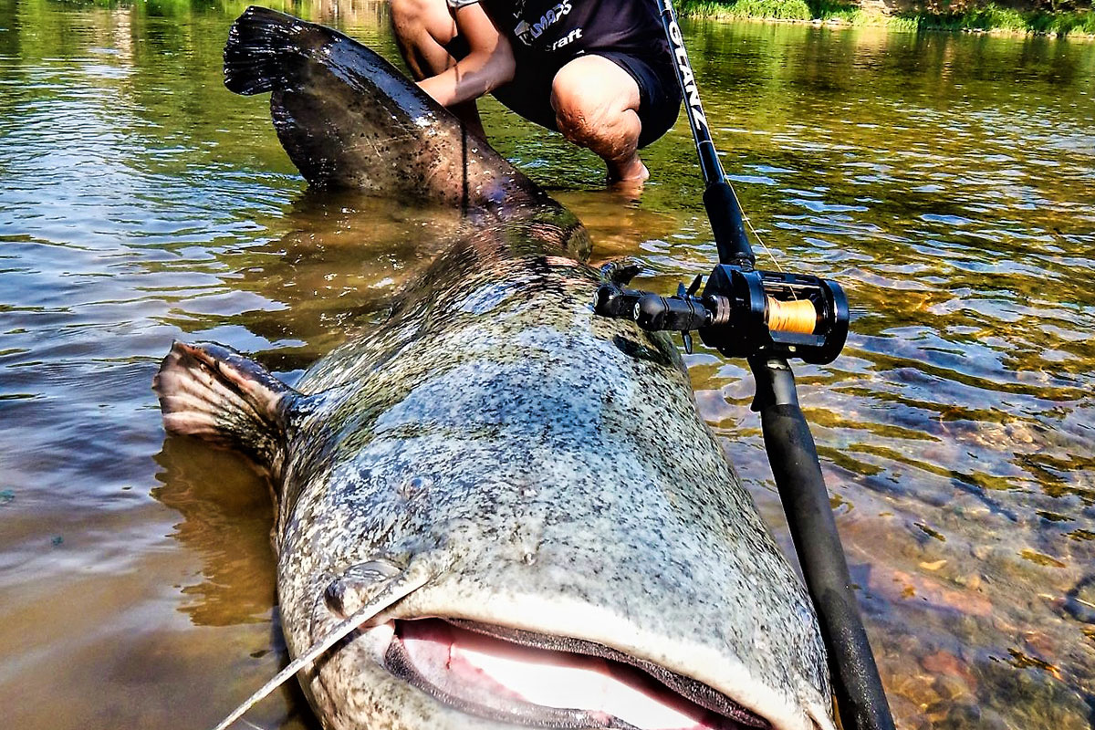 レイジーさん専用 ZENAQ GLANZ B78-10X ゼナック グランツ 専用 ZENAQ