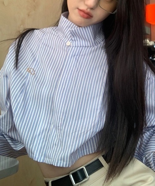 ブラウス シャツ クロップドストライプハイネックシャツ レディース
