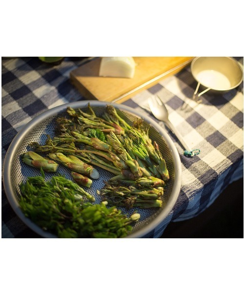 snow peak（スノーピーク） パーティープレート : ZOZOTOWN Yahoo!店