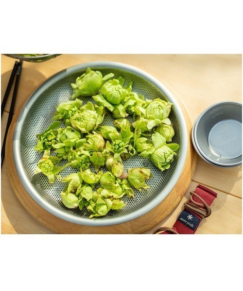 snow peak（スノーピーク） パーティープレート : ZOZOTOWN Yahoo!店