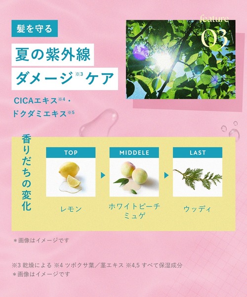 BOTANIST（ボタニスト） トリートメント 2025年夏限定 ボタニカル