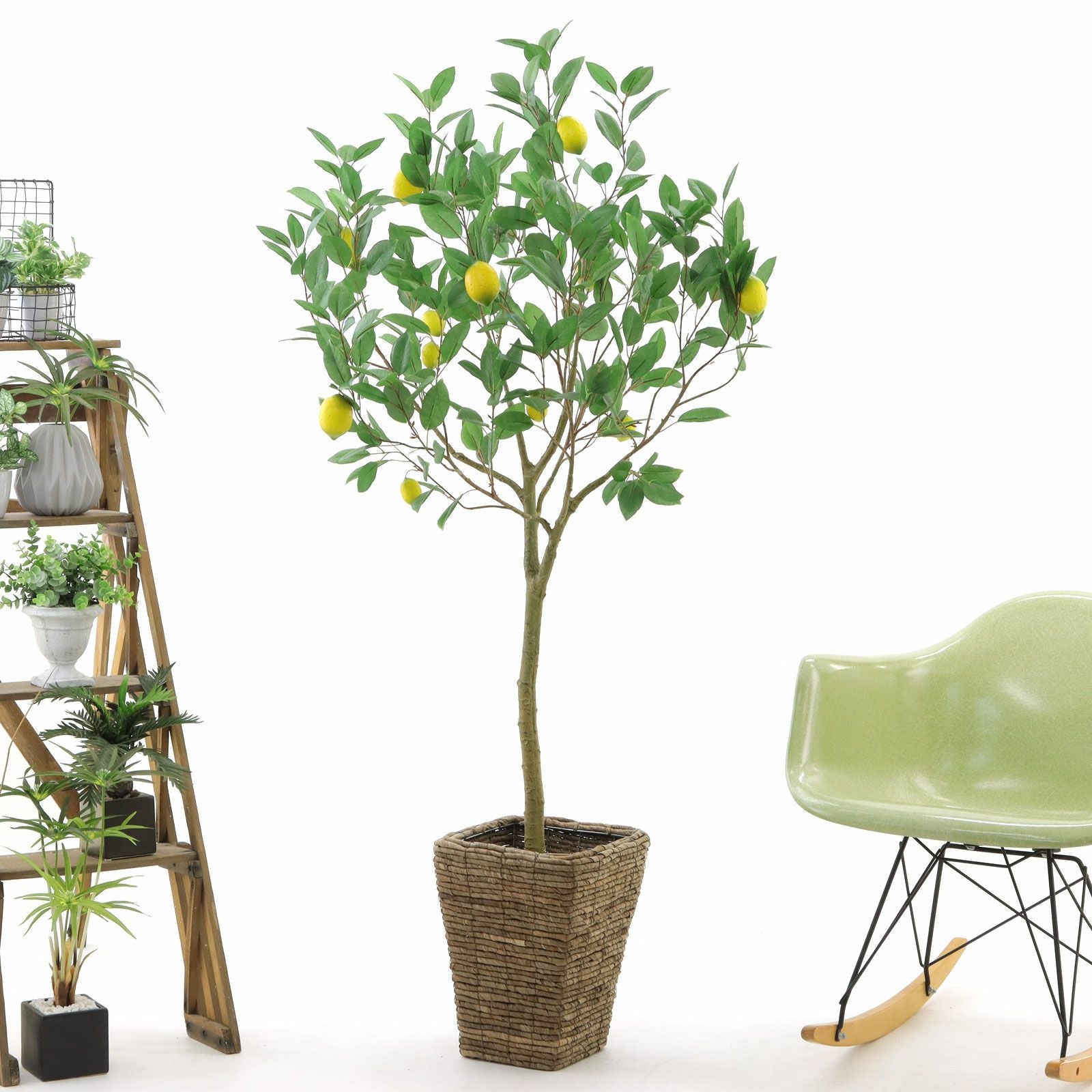 レモンの木・イチジクの木 | プレミアム光触媒フェイクグリーン 造花