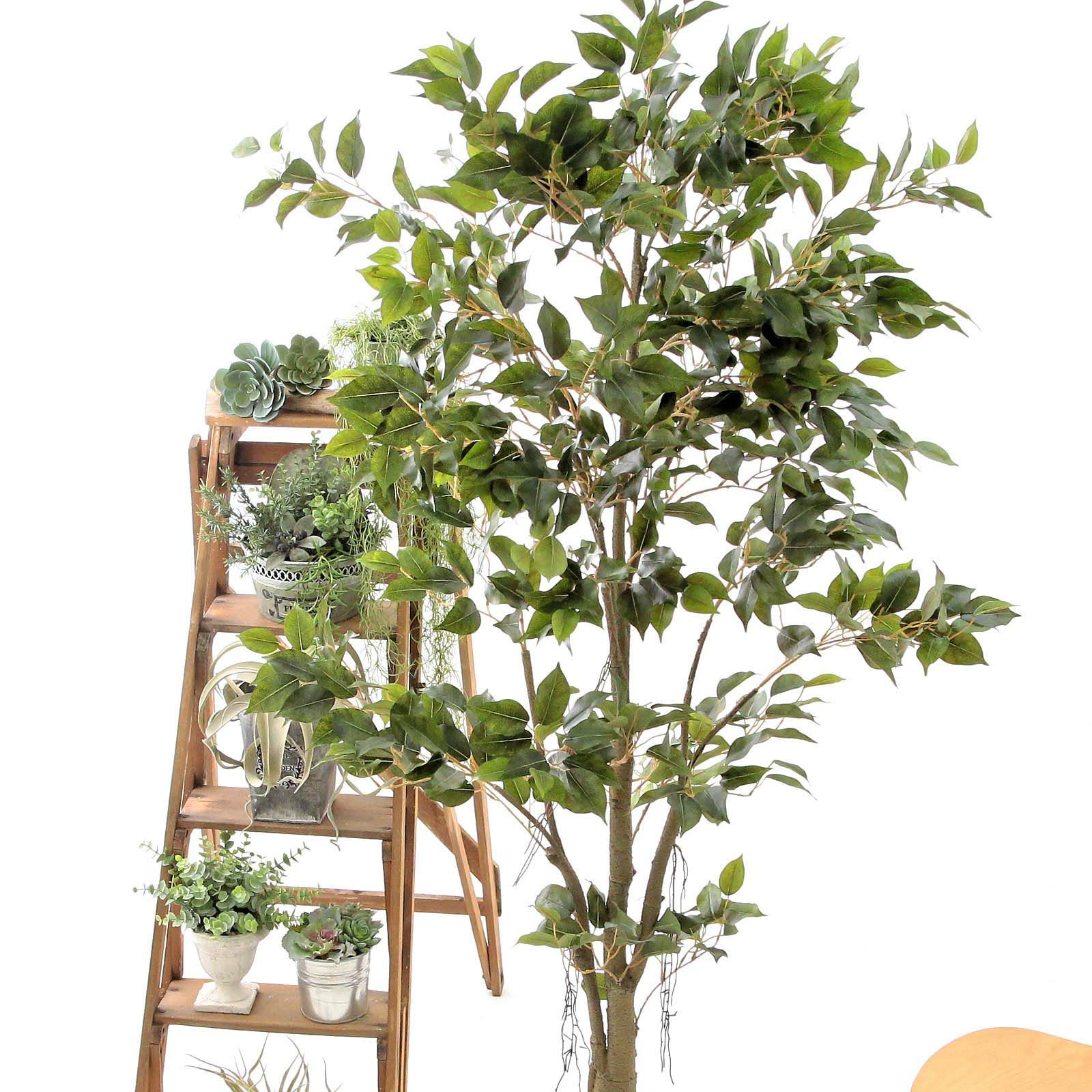 No9277 プレミアム光触媒フェイクグリーン 「自然に広がる枝葉 × 組立