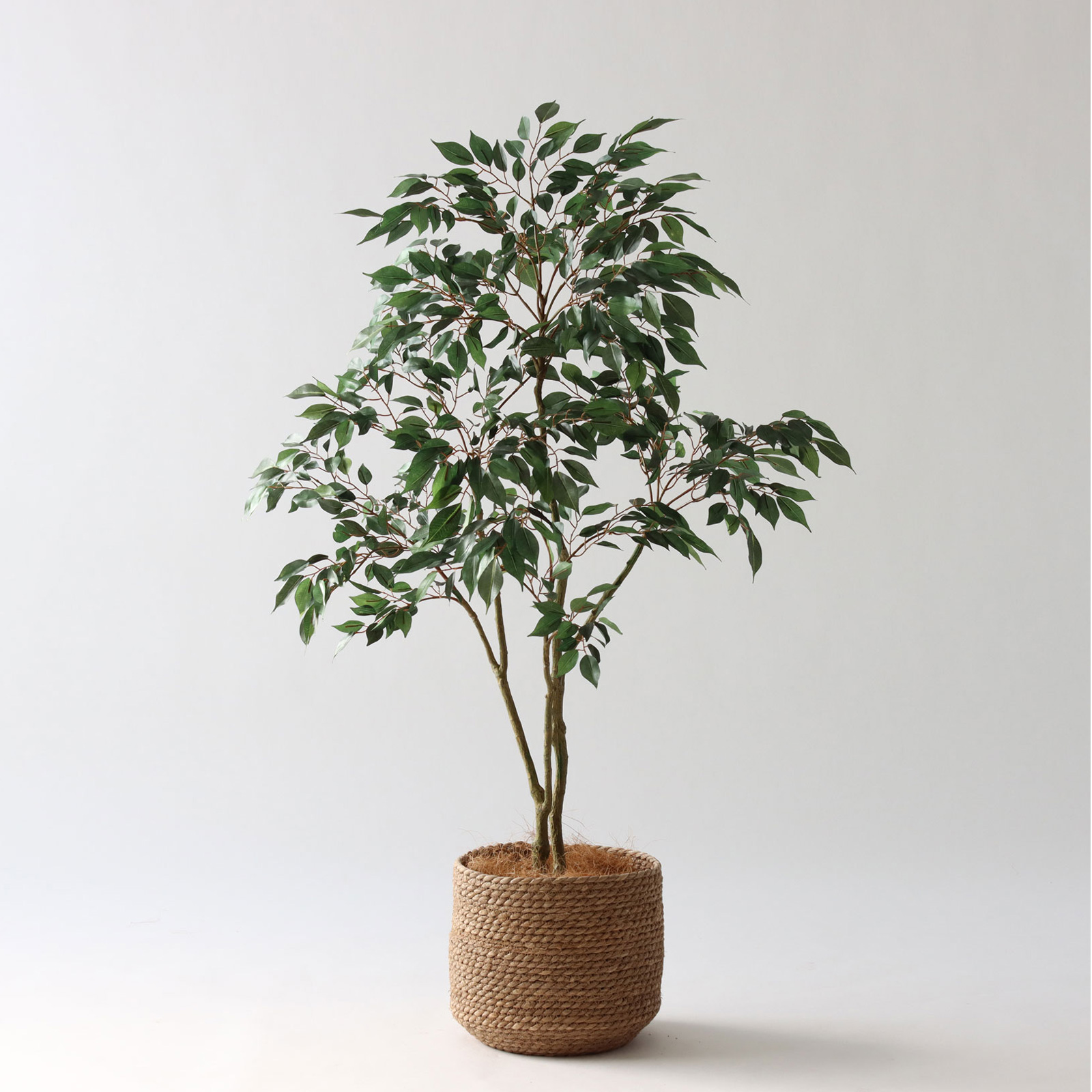 No8450 プレミアム光触媒フェイクグリーン 「狭い空間にも映える