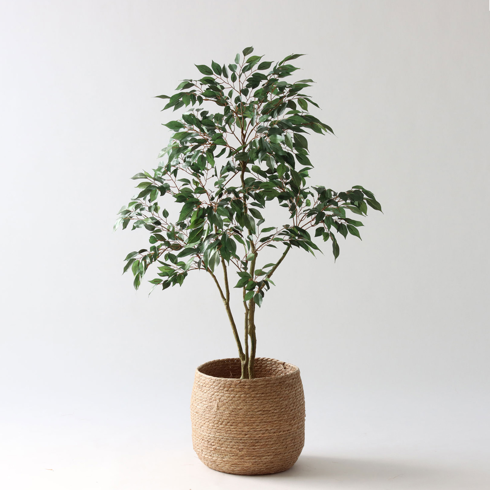 No8414 プレミアム光触媒フェイクグリーン 「軽やかな枝ぶり × 豊かな