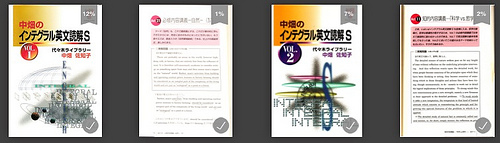 中畑のインテグラル英文読解S』降りそそぐ美しいオーロラのような英文