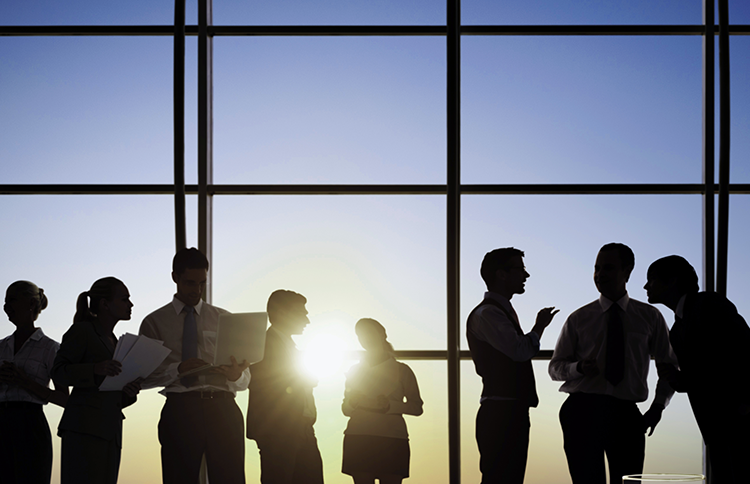 クオリティカンパニー デザインプログラム