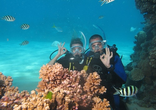 H.I.S.】シルバースイフト号で行く世界遺産グレートバリアリーフ