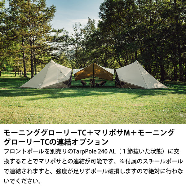 サバティカル マリポサ Mサイズ TC – aandfonlinestore