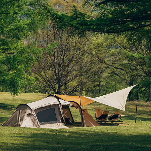 サバティカル シューティングスター – aandfonlinestore