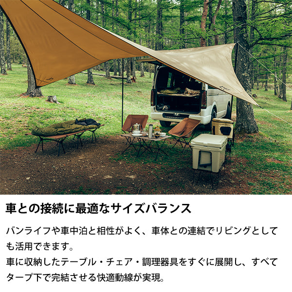 サバティカル シューティングスター – aandfonlinestore