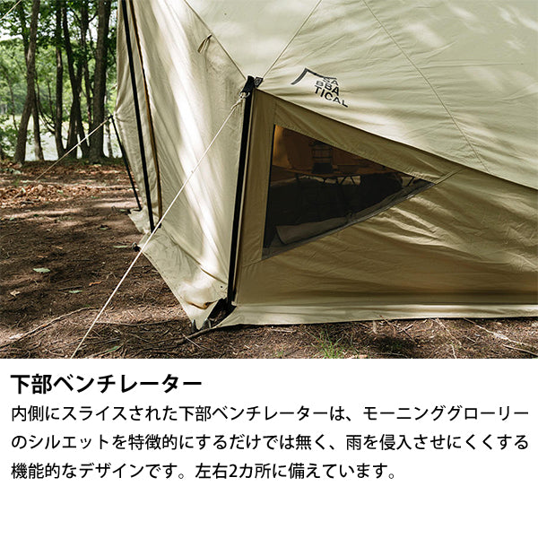 サバティカル モーニンググローリー TC – aandfonlinestore