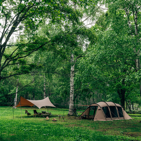 サバティカル アルニカ – aandfonlinestore