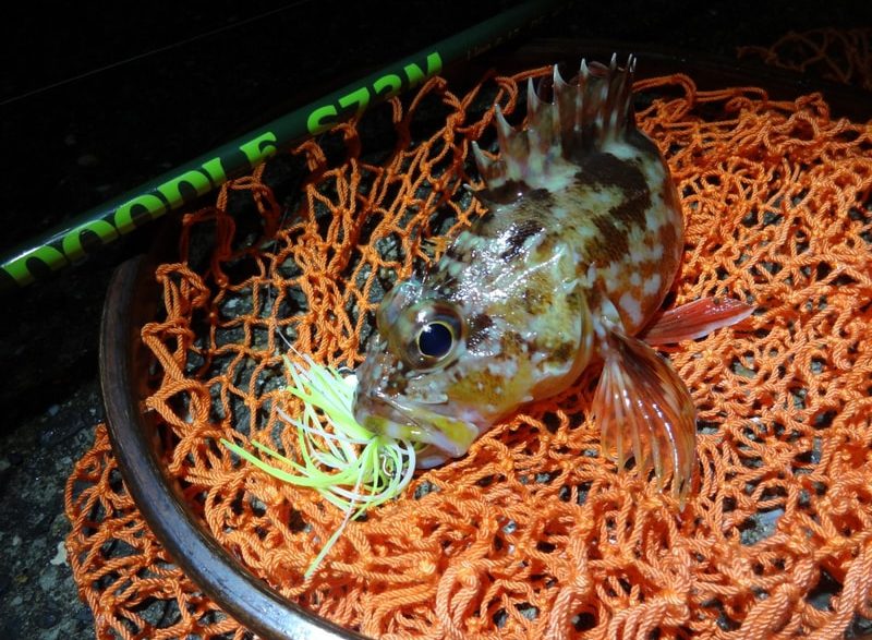 Shoots DOODLE S73M – AGO-Products