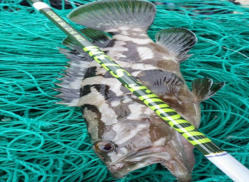 Shoots DOODLE S73M – AGO-Products