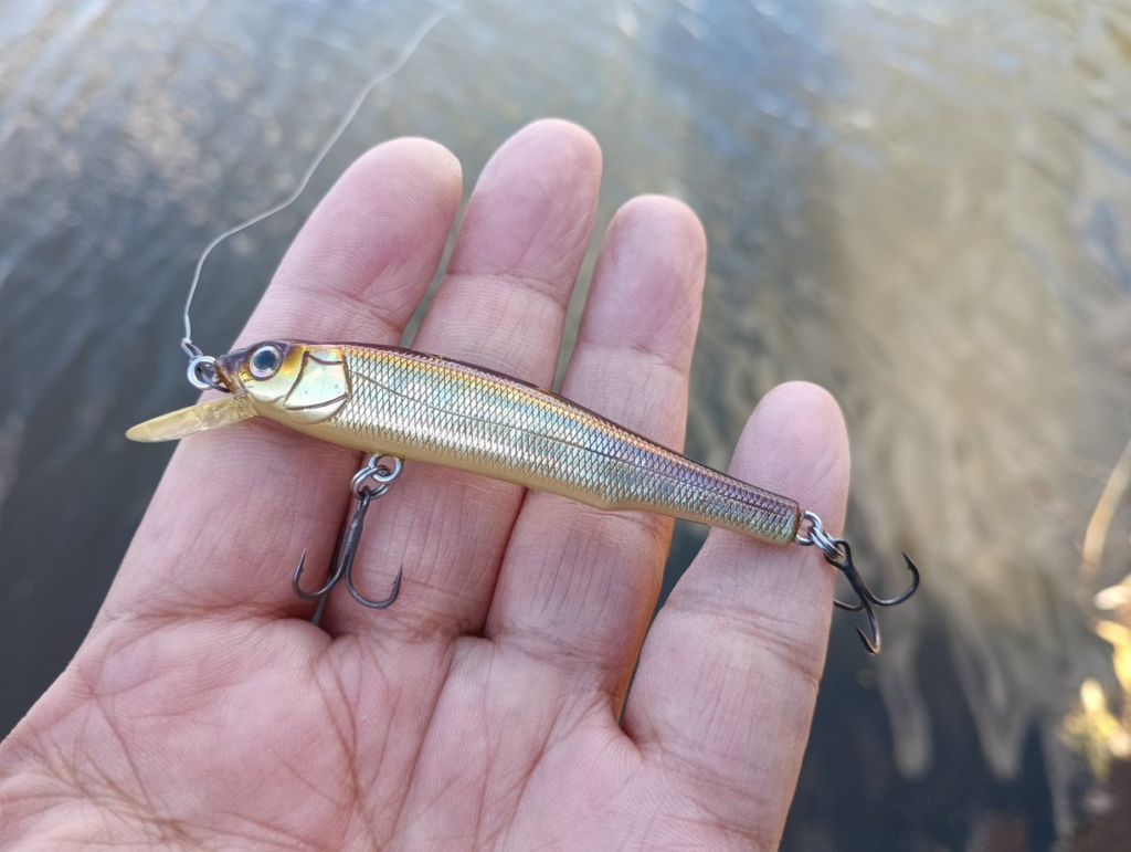 ダイワ ファイヤーフラッシュFスペックを徹底インプレッション! | 釣り