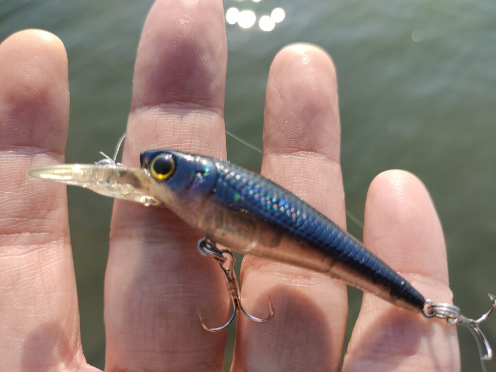 オカッパリに最適!スティーズ キングボルトF-スペックのインプレ