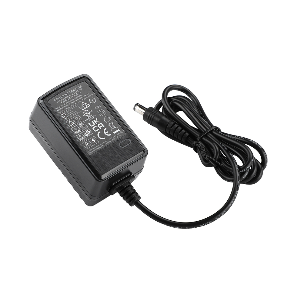 AIYIMA オーディオ電源アダプタ DC 12V 2A スイッチ電源プラグ EU/米国