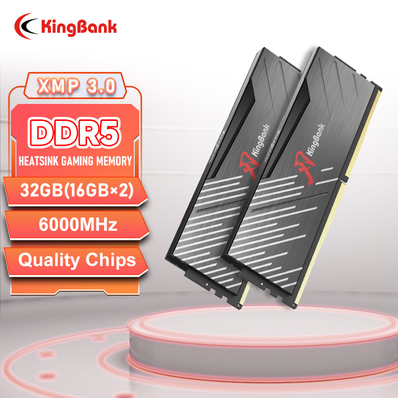 KingBank ブラック Ram DDR5 16 グラム/32 ギガバイト (16 ギガバイト