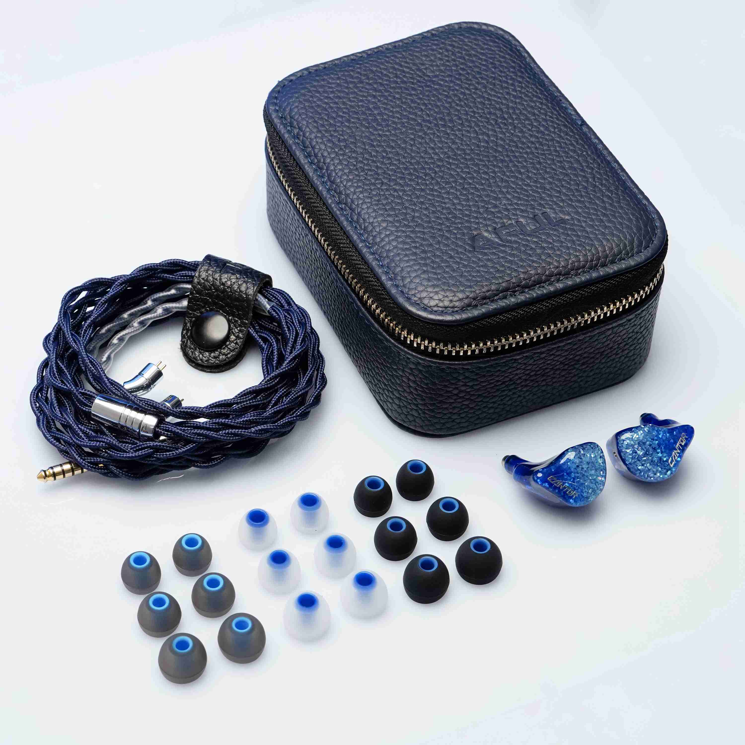 AFUL Flagship Cantor 14 BA In-Ear Monitors IEMs – AFUL Audio