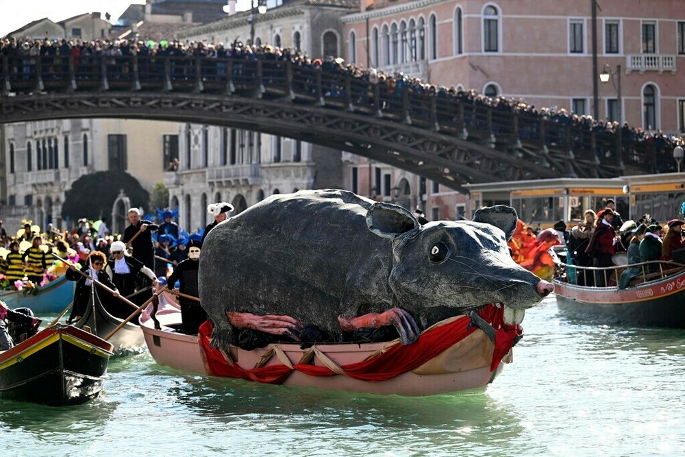 今日の1枚】水上パレードを行く巨大ネズミ？ 伊ベネチア 写真4枚 国際