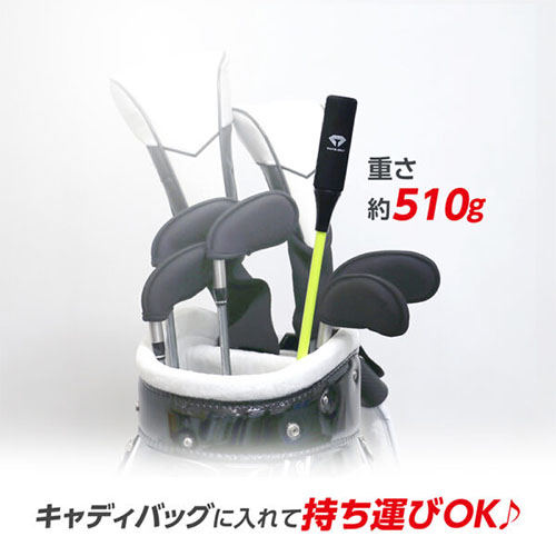 ダイヤ ダイヤスイングプロツアー TR-5002 練習器具の通販 テレ東