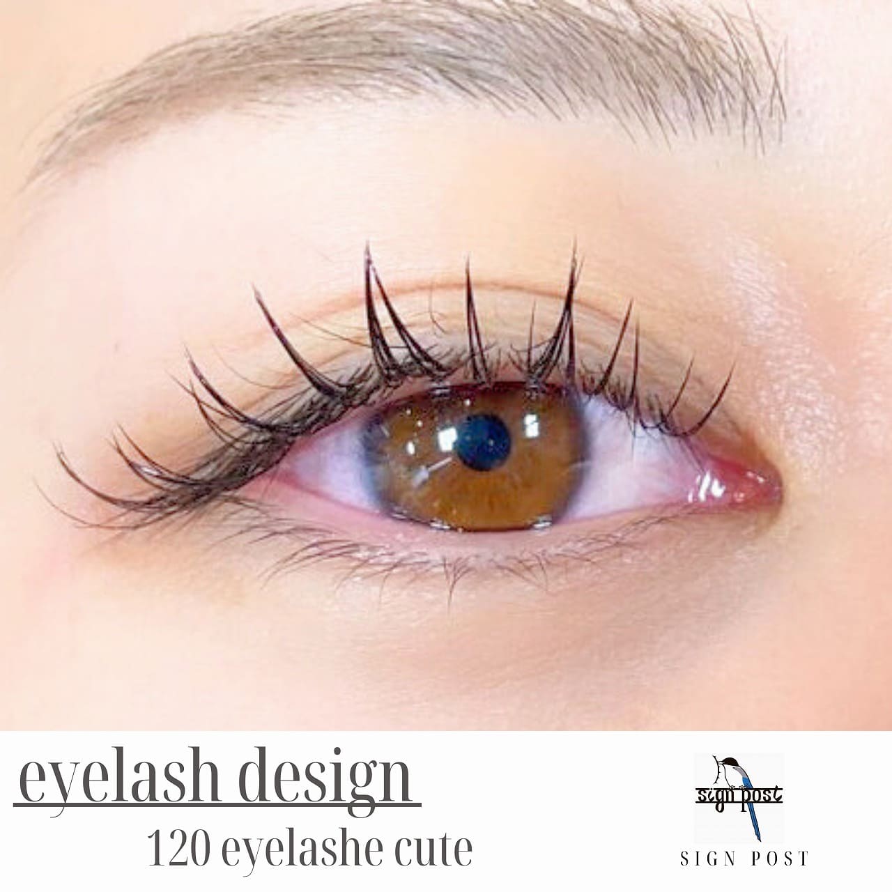 自分のまつ毛の本数に合わせた適切なエクステの本数について