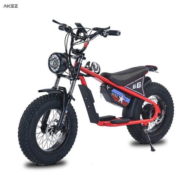 AKEZ 16 Inch Bike​ - Kids Electric Bike​