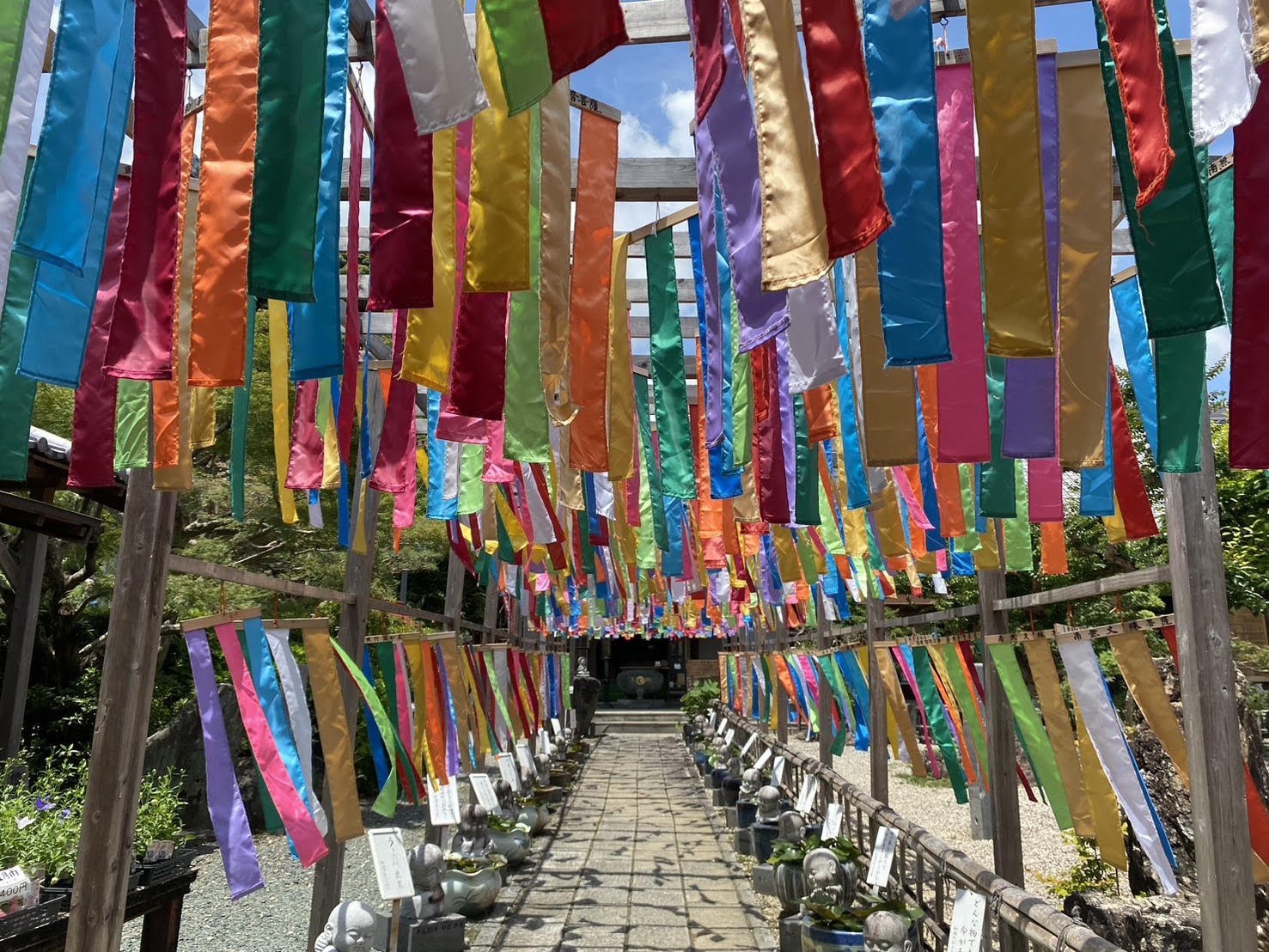 静岡本店】数量限定！7㎝ヒールサンダル👡店舗限定入荷いたしました