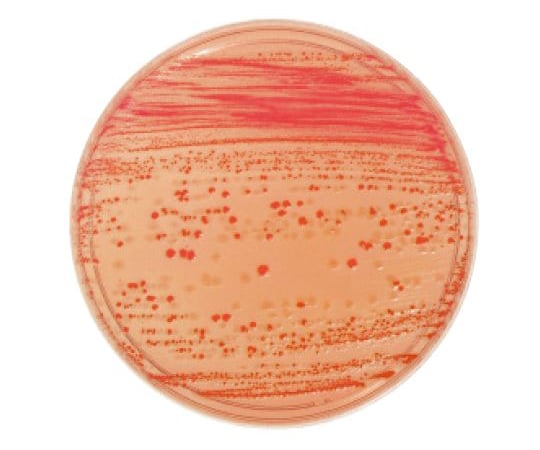 63-6527-16 BD BBL（TM） ソルビトール添加マッコンキーⅡ寒天培地 20