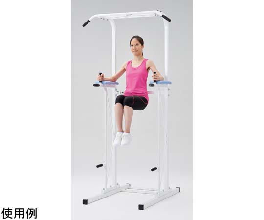 68-9771-93 ニーレイズ・チンニング＆ディップスタンド D569 【AXEL