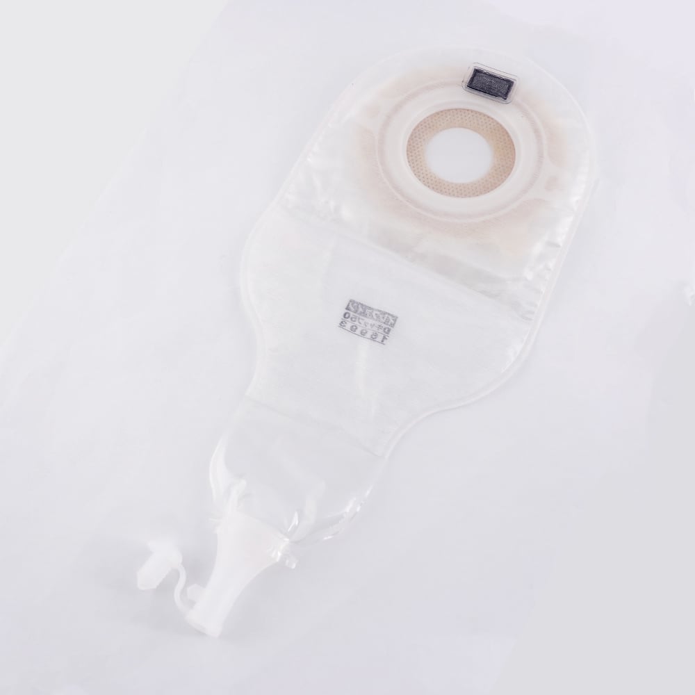 8-1593-08 イレファイン®（単品系装具）Dキャップ50 10枚 16993 【AXEL