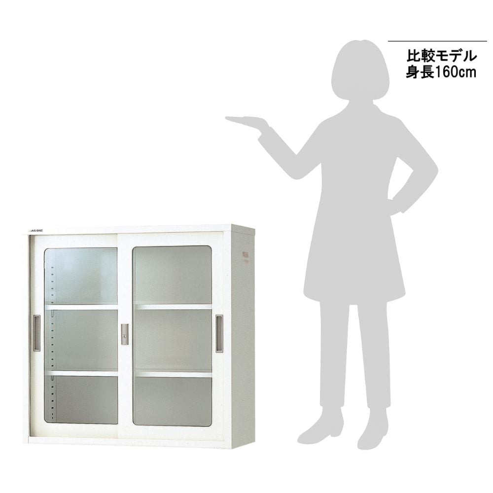 3-035-17 耐薬引違保管庫 ガラス戸 880×400×880mm N-90G・OW 【AXEL