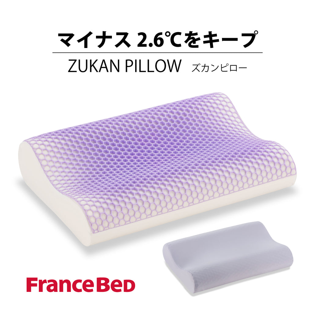 zukanpillow_1024x.jpg?v=1724661768