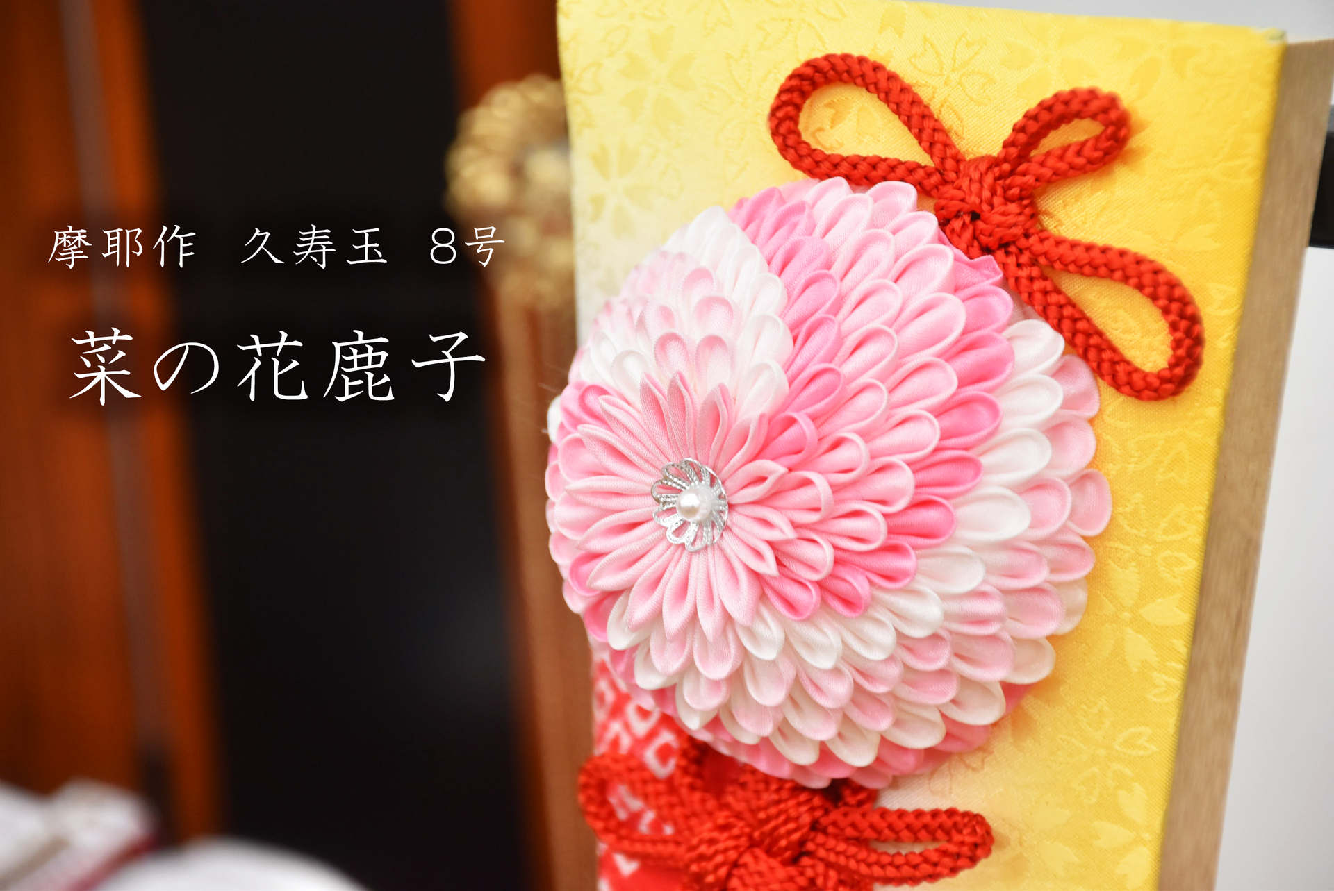 DSC_0149.png?v=1726307414&