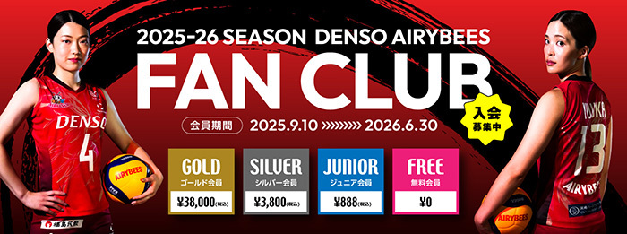 デンソーエアリービーズ／バレーボール／Vリーグ／女子