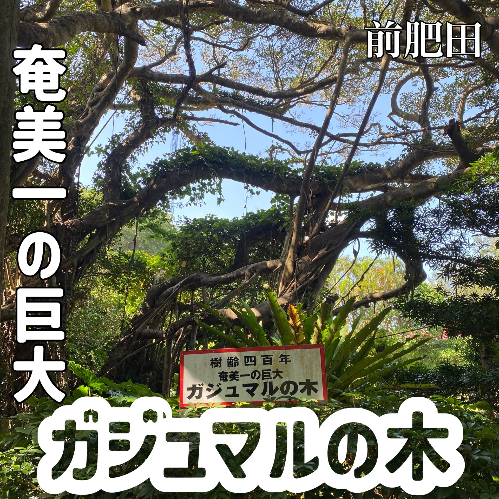 1mi0a2224vd6gzosi4BAE.jpg?proc