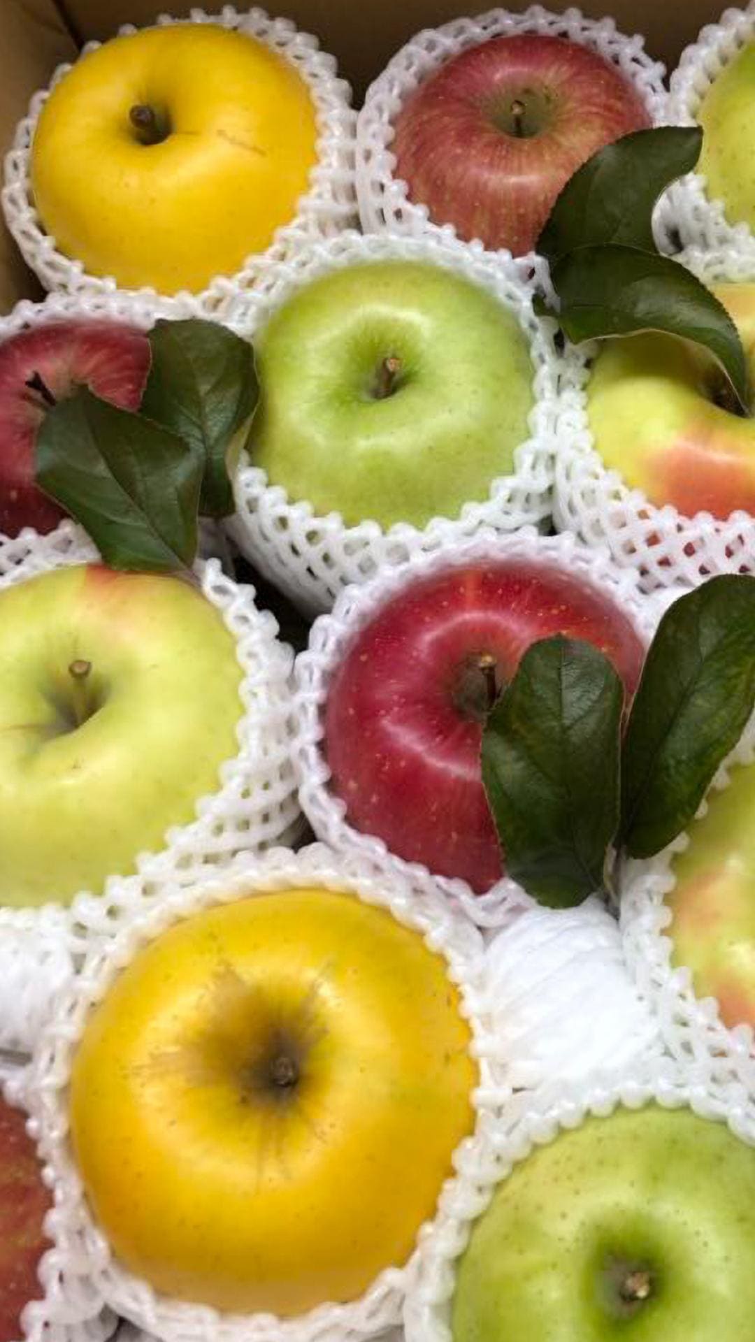 津軽産りんご・アソート 贈答用3Kg【送料込み】（販売終了