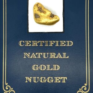 22.0 Gram Natural Gold Nugget Anchorage AK - Alaska Mint