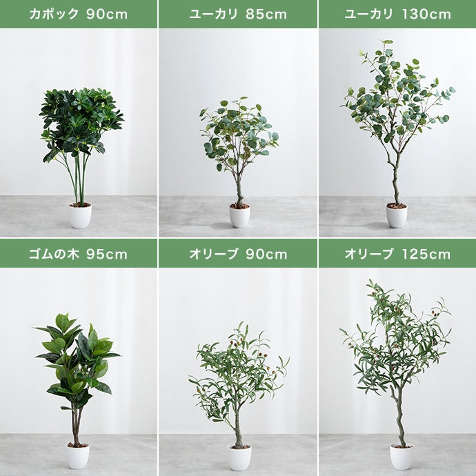 光触媒人工観葉植物 ユーカリ 高さ85cm | 【公式】allecore(アレコレ